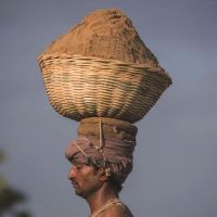 全球沙荒：20年貿易額增長六倍 中國占亞洲一半，一場全球資源危機！正在愈演愈烈！