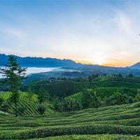 500萬噸/年!湖北儲量約1.12億噸建筑用花崗巖礦擬掛牌出讓